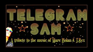 Telegram Sam - Marc Bolan & T Rex Tribute