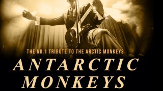 The Antarctic Monkeys At The Station 