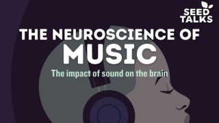 Seed Talks: The Neuroscience of Music (16+)