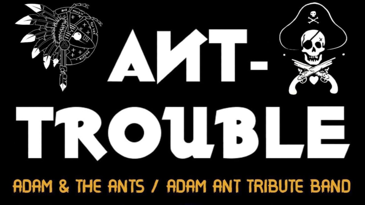 Ant trouble 