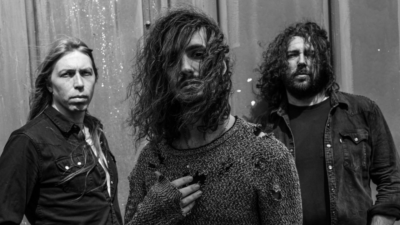 The Dead Collective 