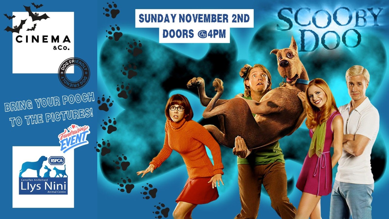 Cinema & Canine - Llys-Nini Fundraiser