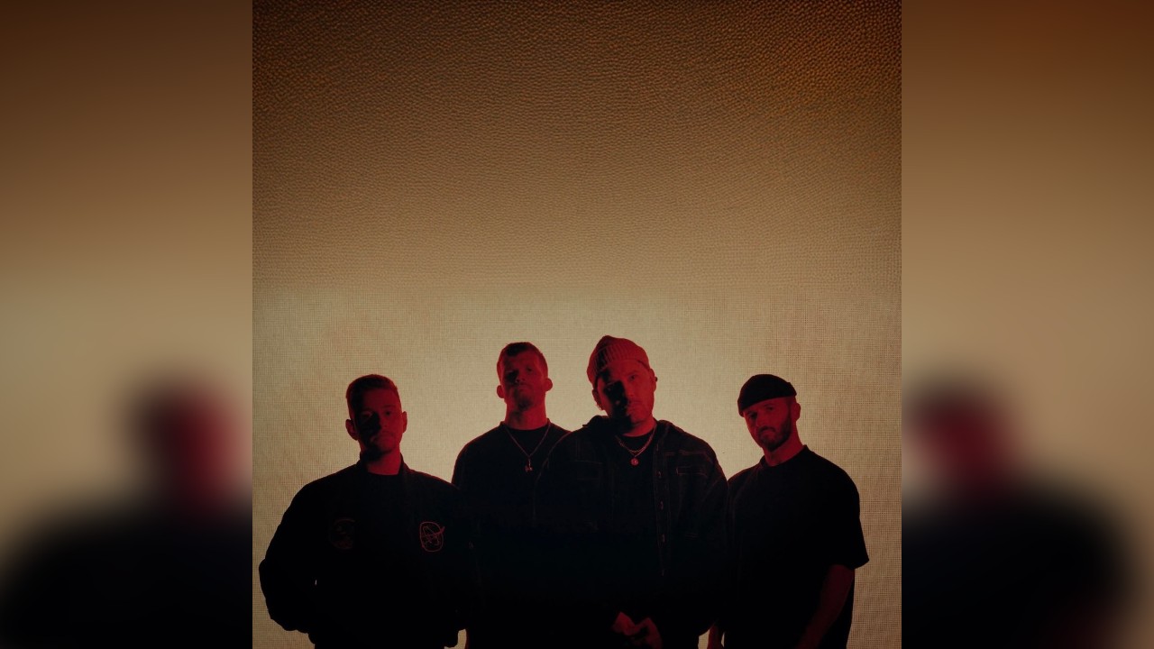 Continents plus support (super earlybird) 