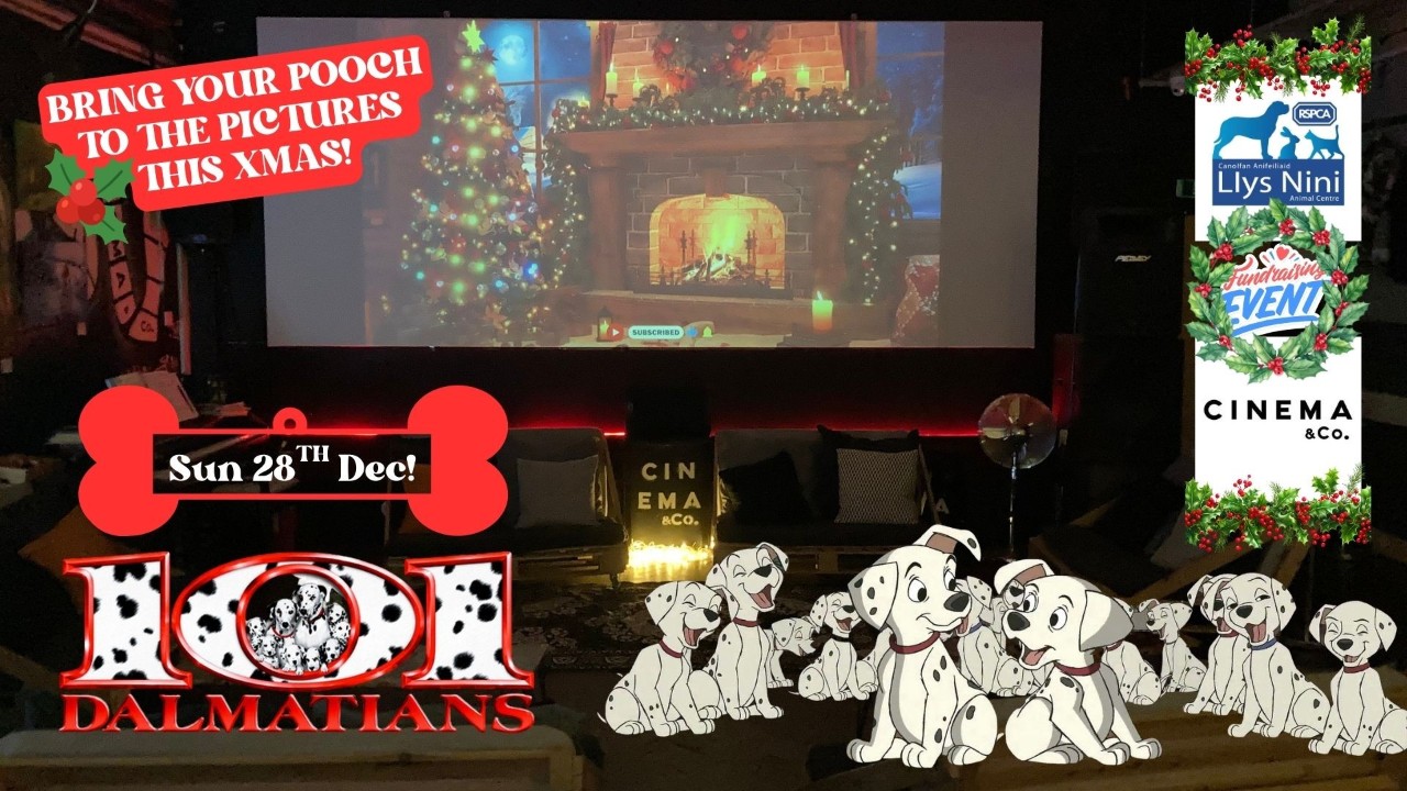Cinema & Canine - Llys-Nini Fundraiser