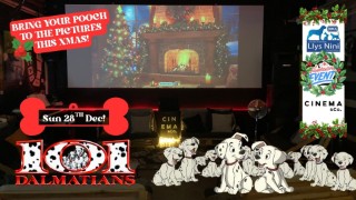 Cinema & Canine - Llys-Nini Fundraiser