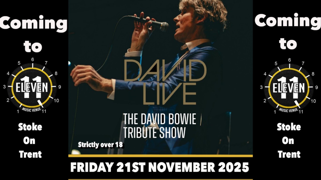 David Live the David Bowie tribute show live at Eleven