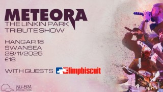 Meteora | Limp Biscuit | The Linkin Park & Limp Bizkit Tribute Show