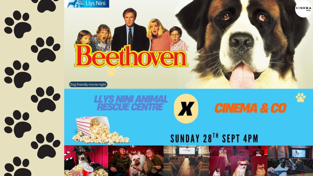 Cinema & Canine - Llys-Nini Fundraiser