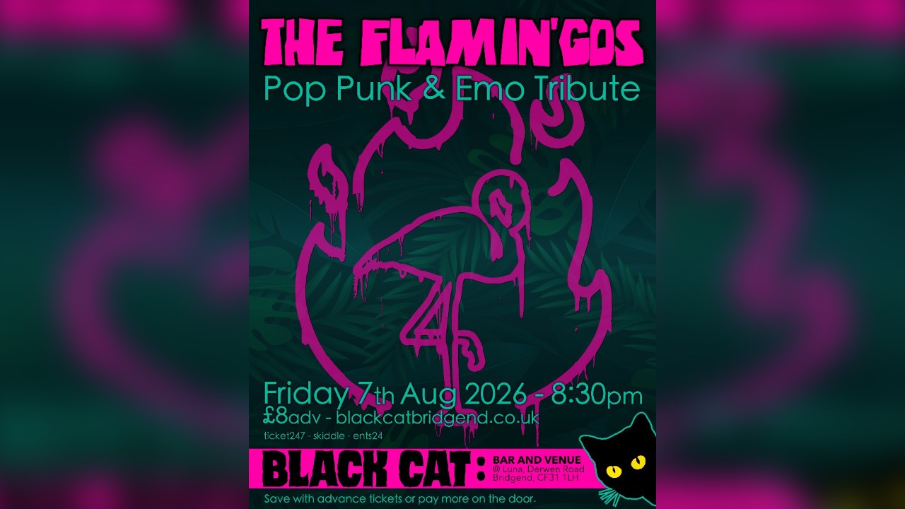 THE FLAMIN'GOS - Pop-punk/Emo anthems @ Black Cat