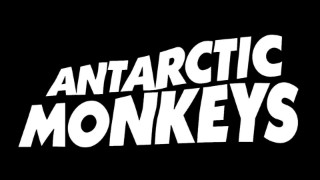 The Antarctic Moneys at The Station Cannock