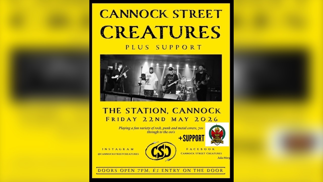 Cannock Street Creatures/Sig And The Firepilots At The Station 