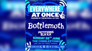 Bottlemoth - Everywhere At Once