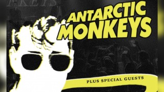 Antarctic Monkeys