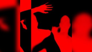 KOKO Electronic: Yotto