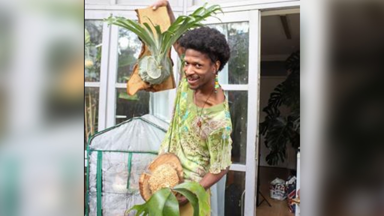 Plant Mounting Workshop