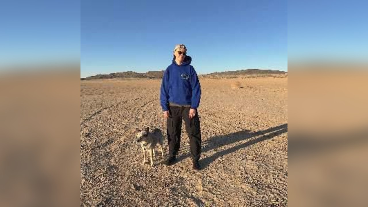 DEAR NORA + TAI HAF HEB DRIGOLYN