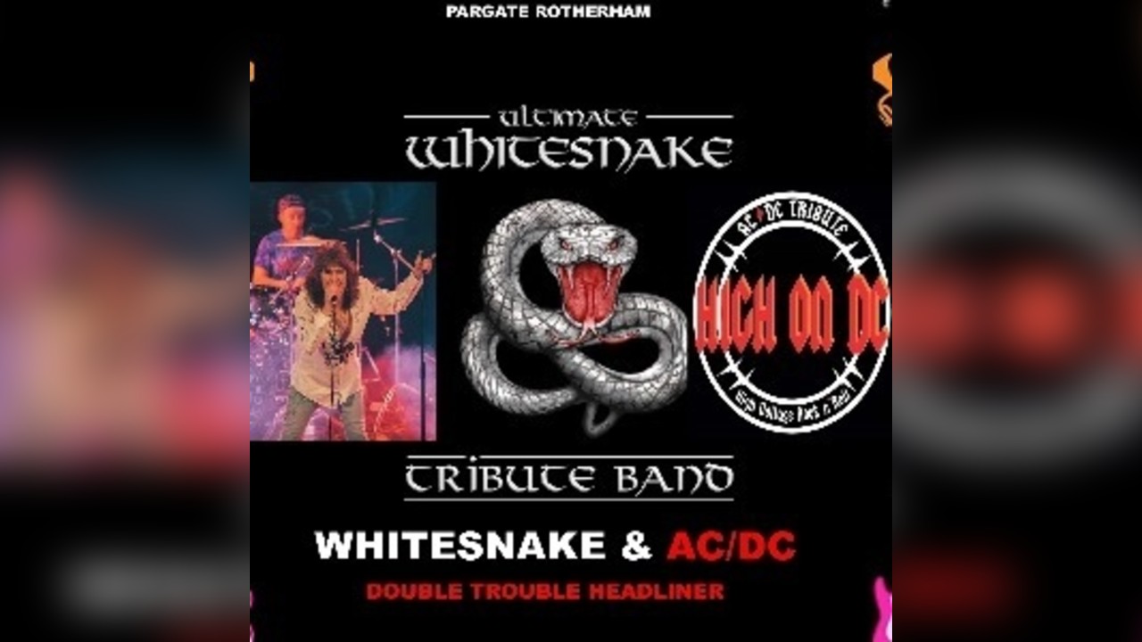 ULTIMATE WHITESNAKE V HIGH ON DC AC/DC DOUBLE