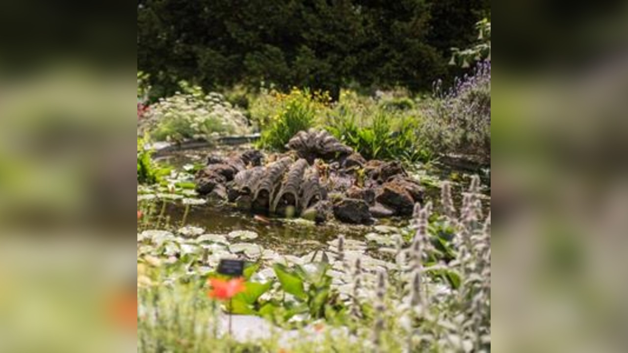 Chelsea Physic Garden - Flexitickets