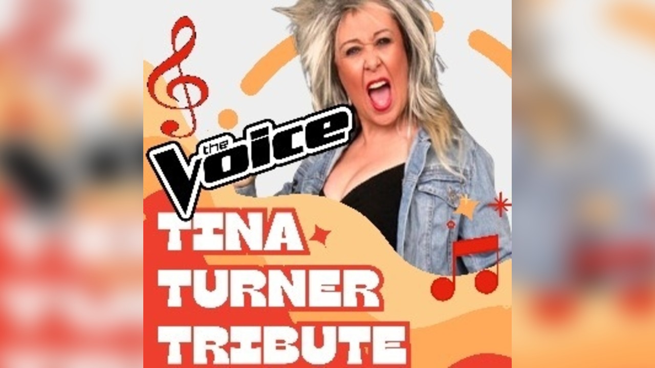 Tina Turner Tribute