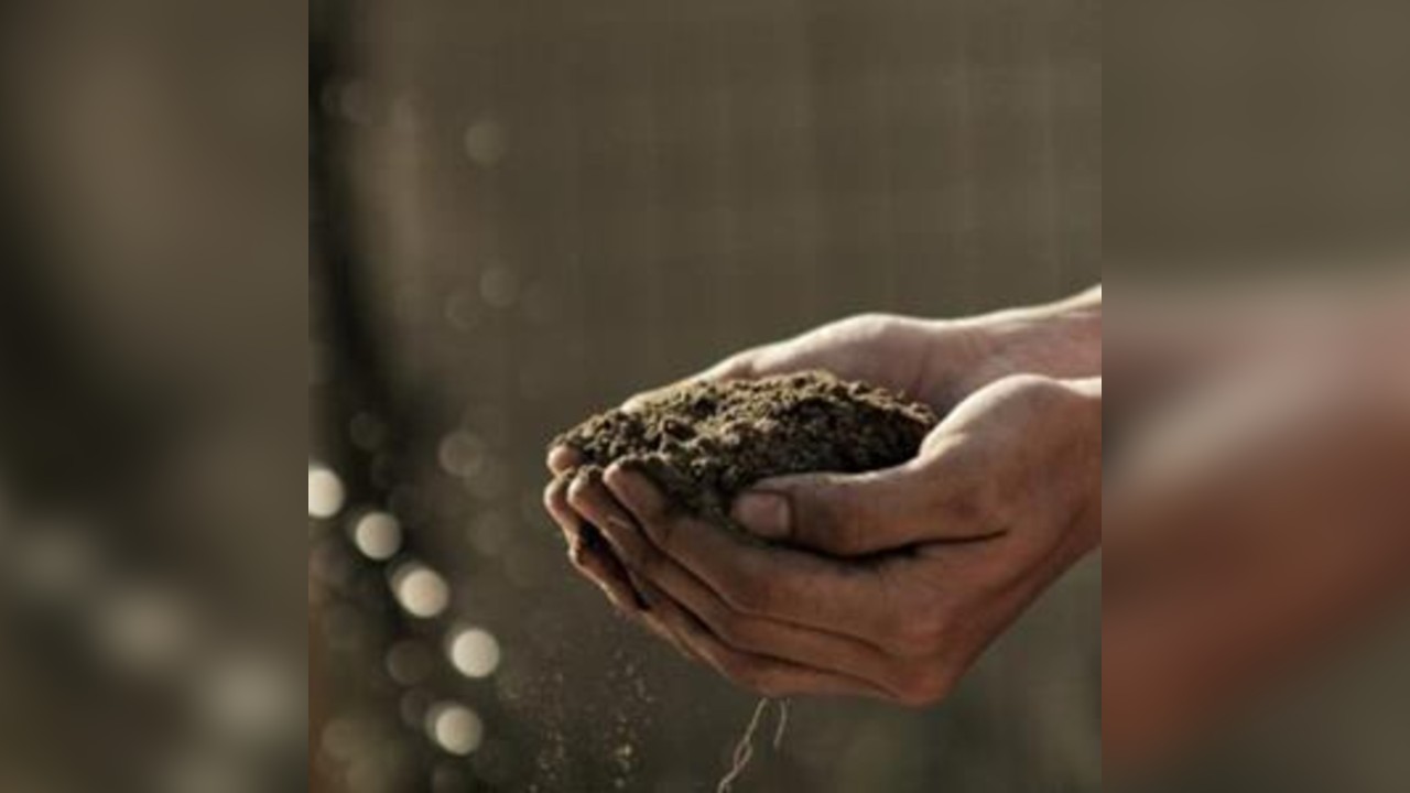 Grow Your Future: Careers In Horticulture