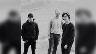 The 113