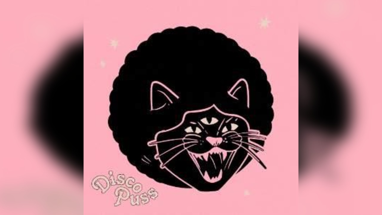 DISCO PUSS - 4TH BIRTHDAY