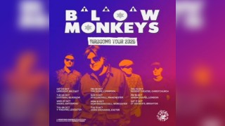 The Blow Monkeys
