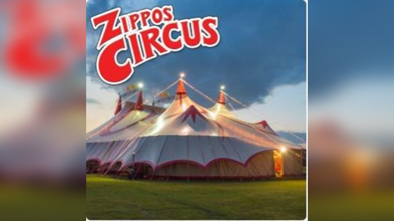 Zippos Circus - First Day Preview