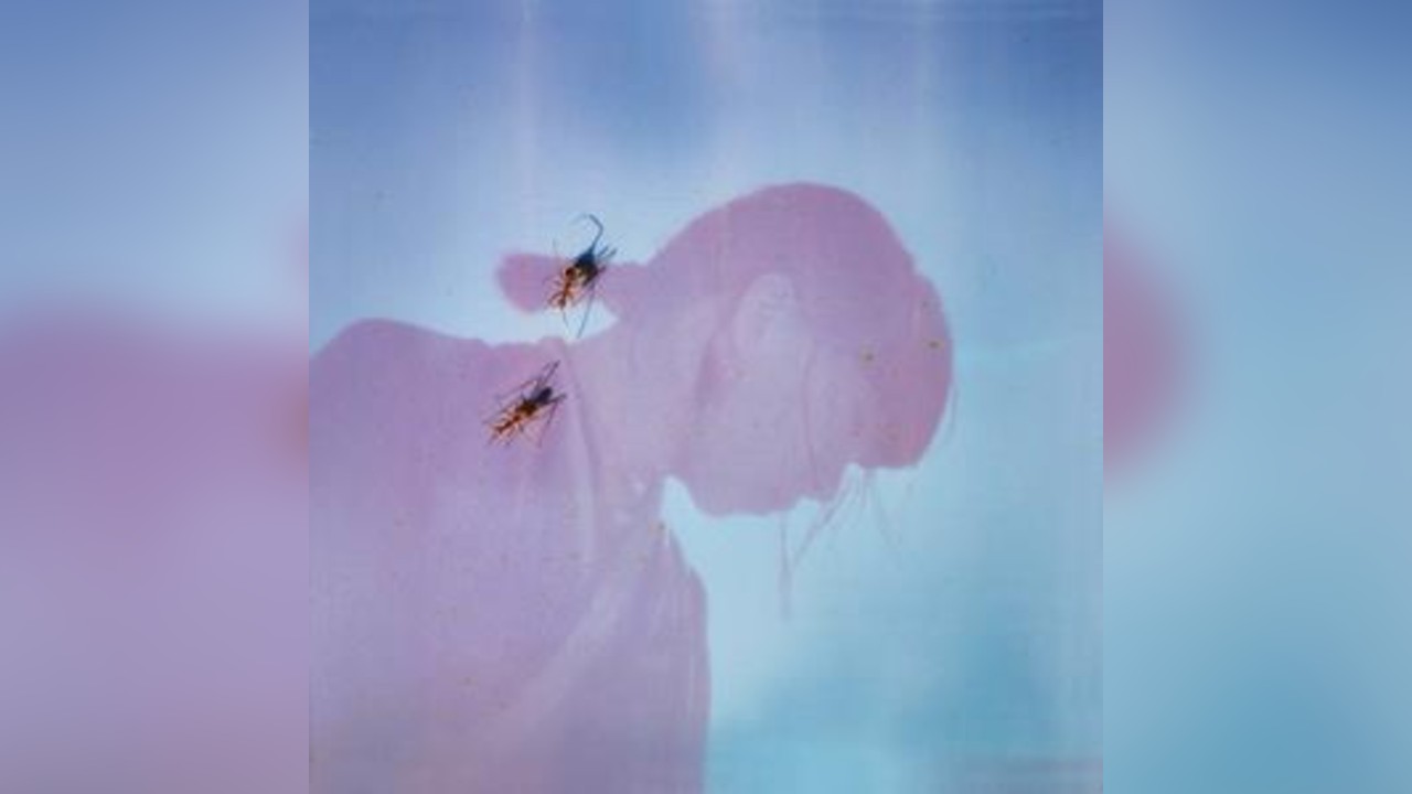 Ichiko Aoba with 12 Ensemble