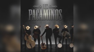 Los Pacaminos ft. Paul Young