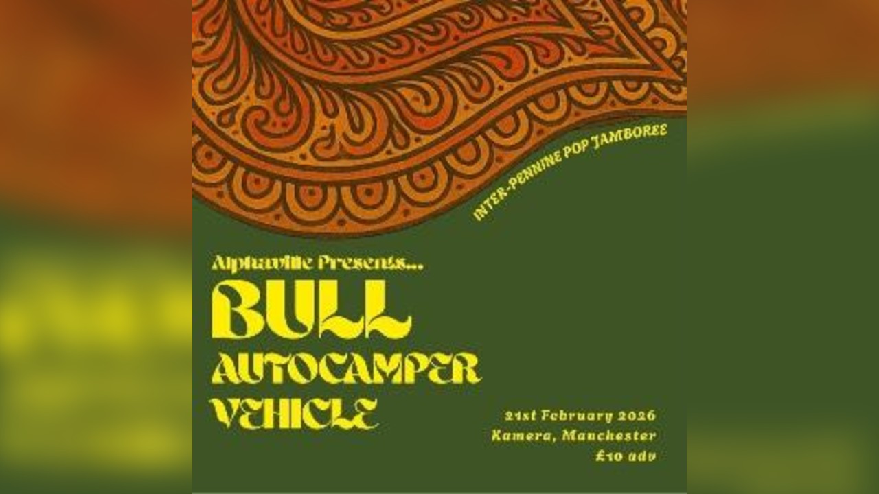 Bull, Autocamper and Vehicle