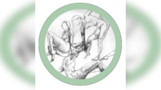 20/01/26 LIFE DRAWING