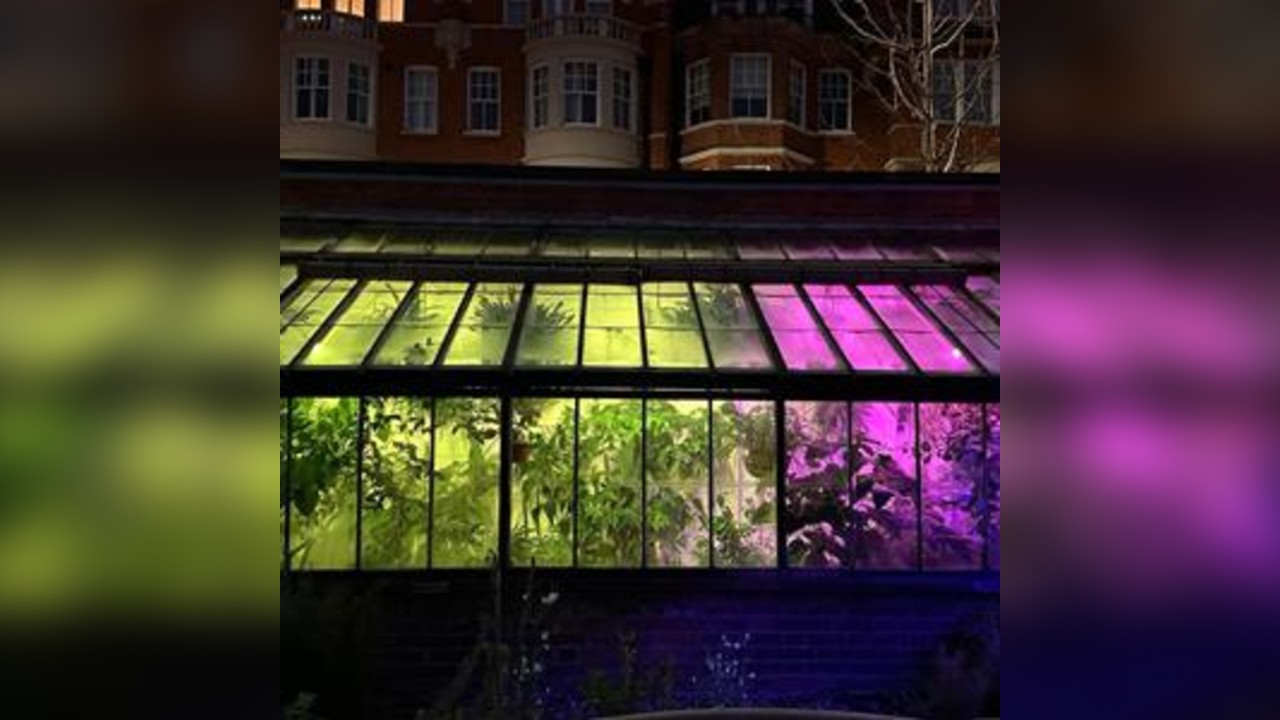 Weird Love After Dark