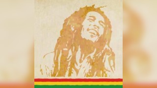The Marley Experience