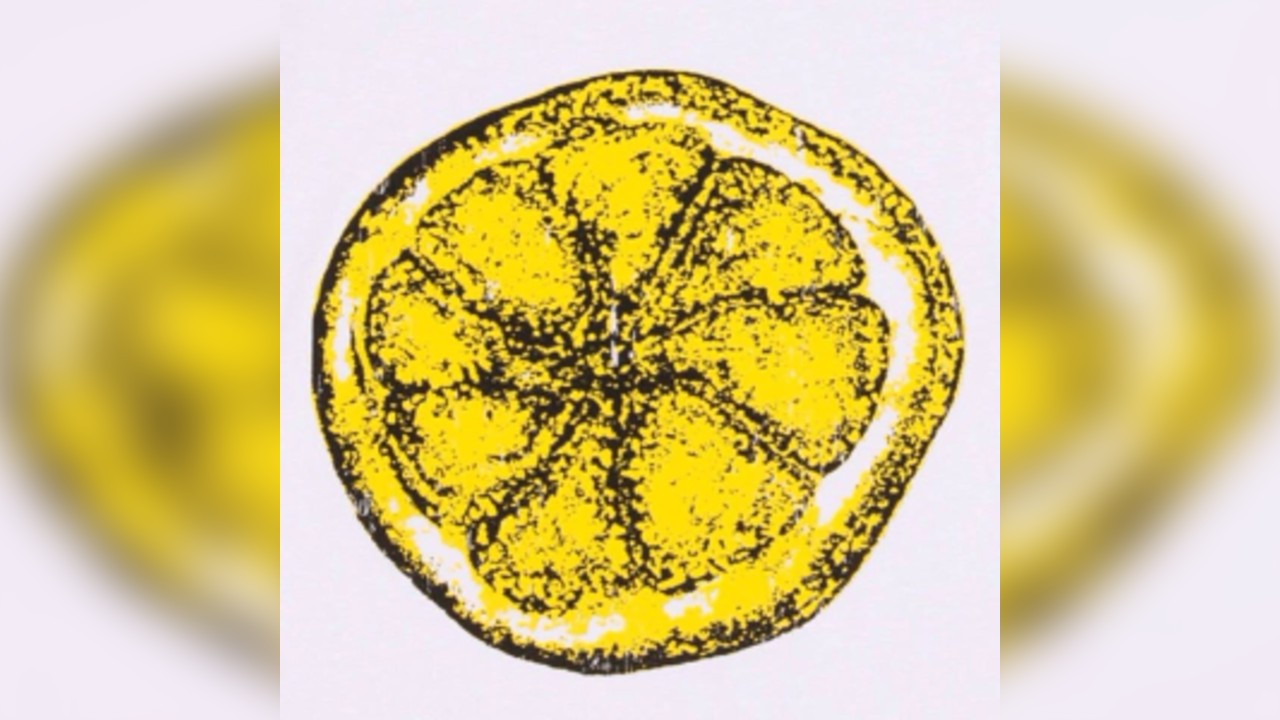 The Clone Roses, Oas-is, The Smiths Ltd