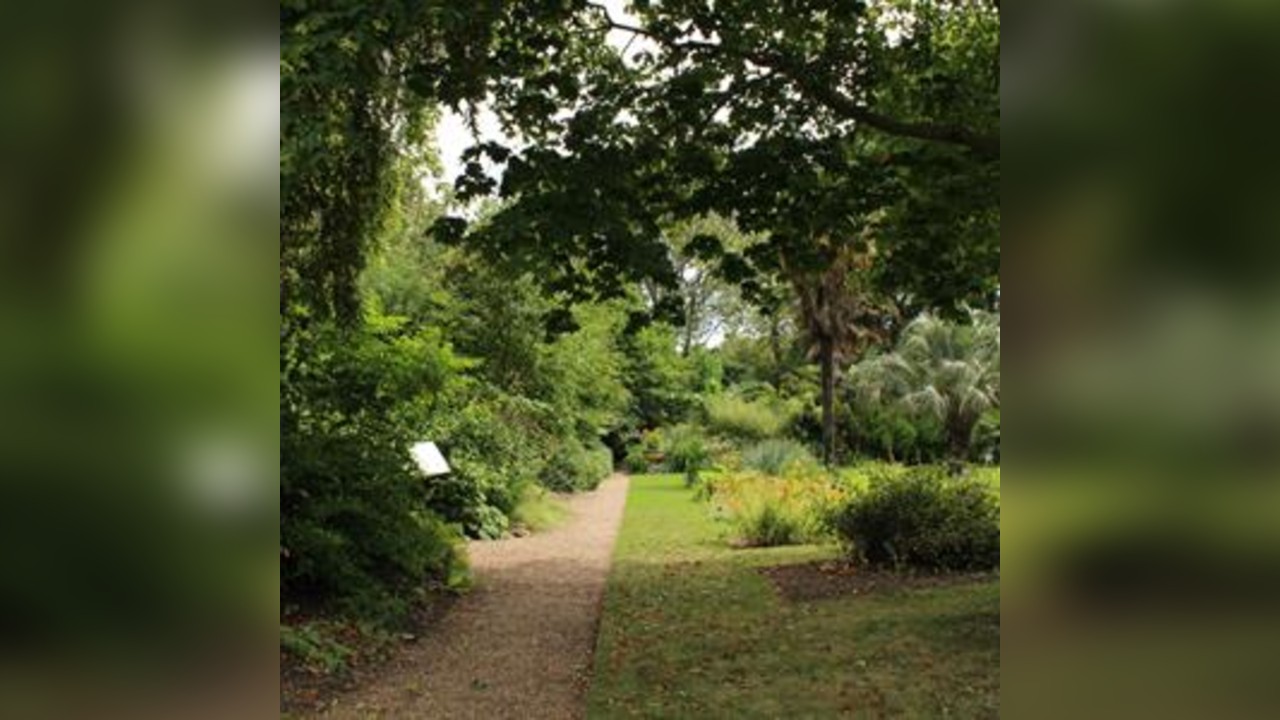 Unearthing Texts, Tonics & Trees