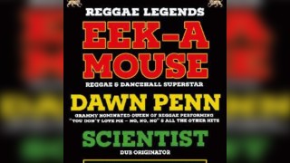 EEK A MOUSE // DAWN PENN // SCIENTIST