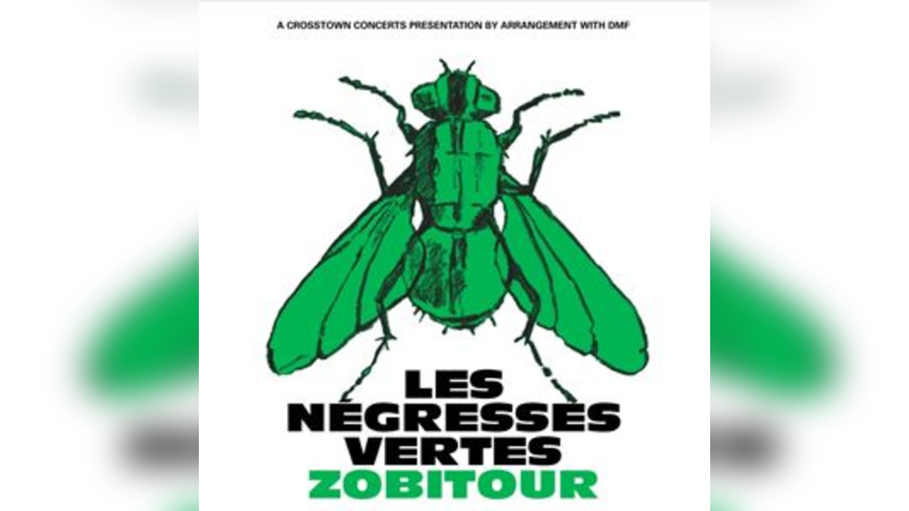 Les Negresses Vertes