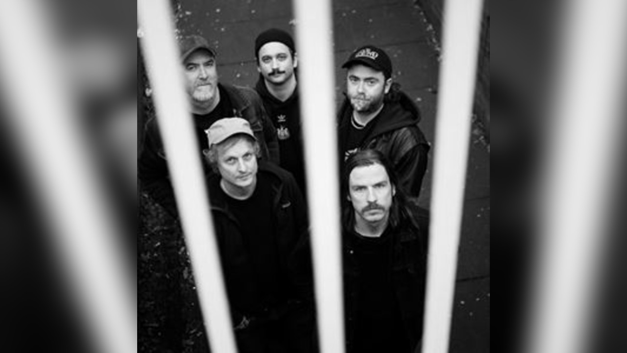 PIGS PIGS PIGS PIGS PIGS PIGS PIGS