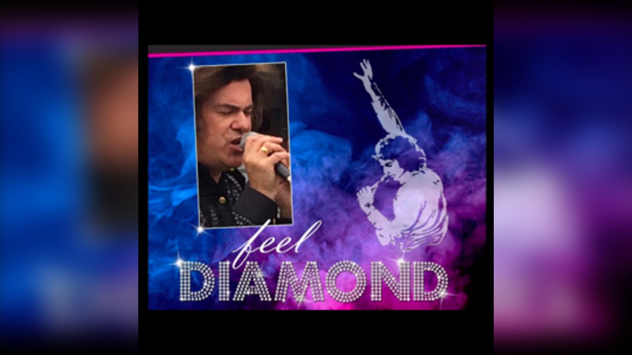 Feel Diamond - Tribute to Neil Diamond