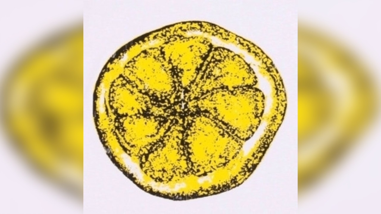 The Clone Roses, Definitely Mightbe (Oasis) & More