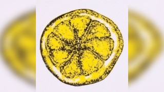 The Clone Roses, Definitely Mightbe (Oasis) & More