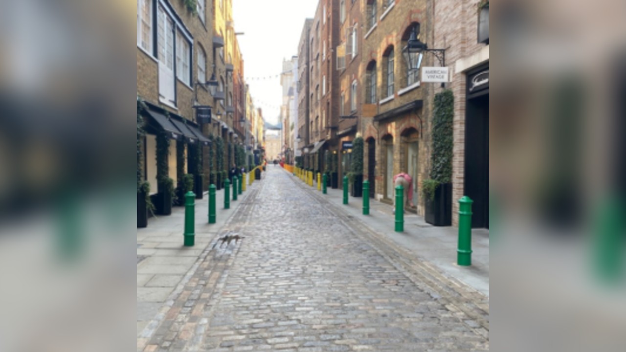 QUIRKY WESTMINSTER WALK