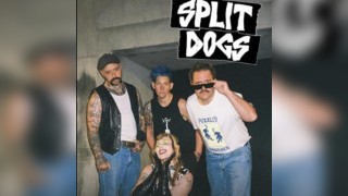Split Dogs