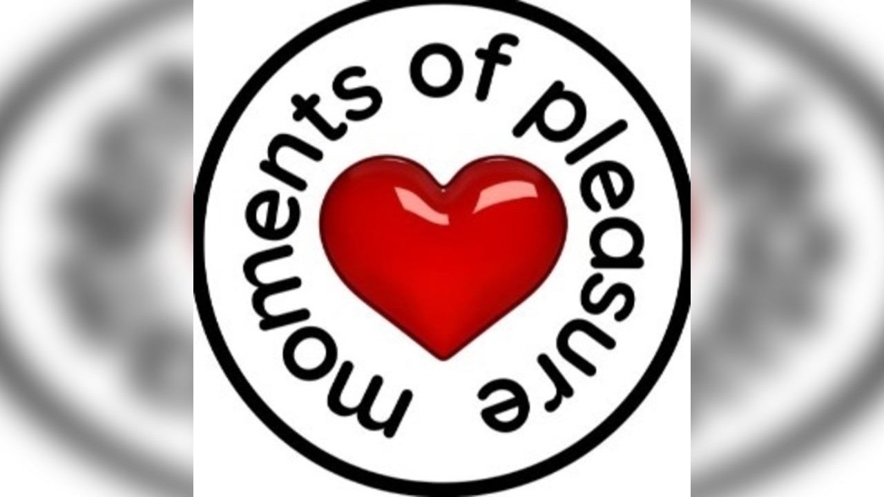 MOMENTS OF PLEASURE