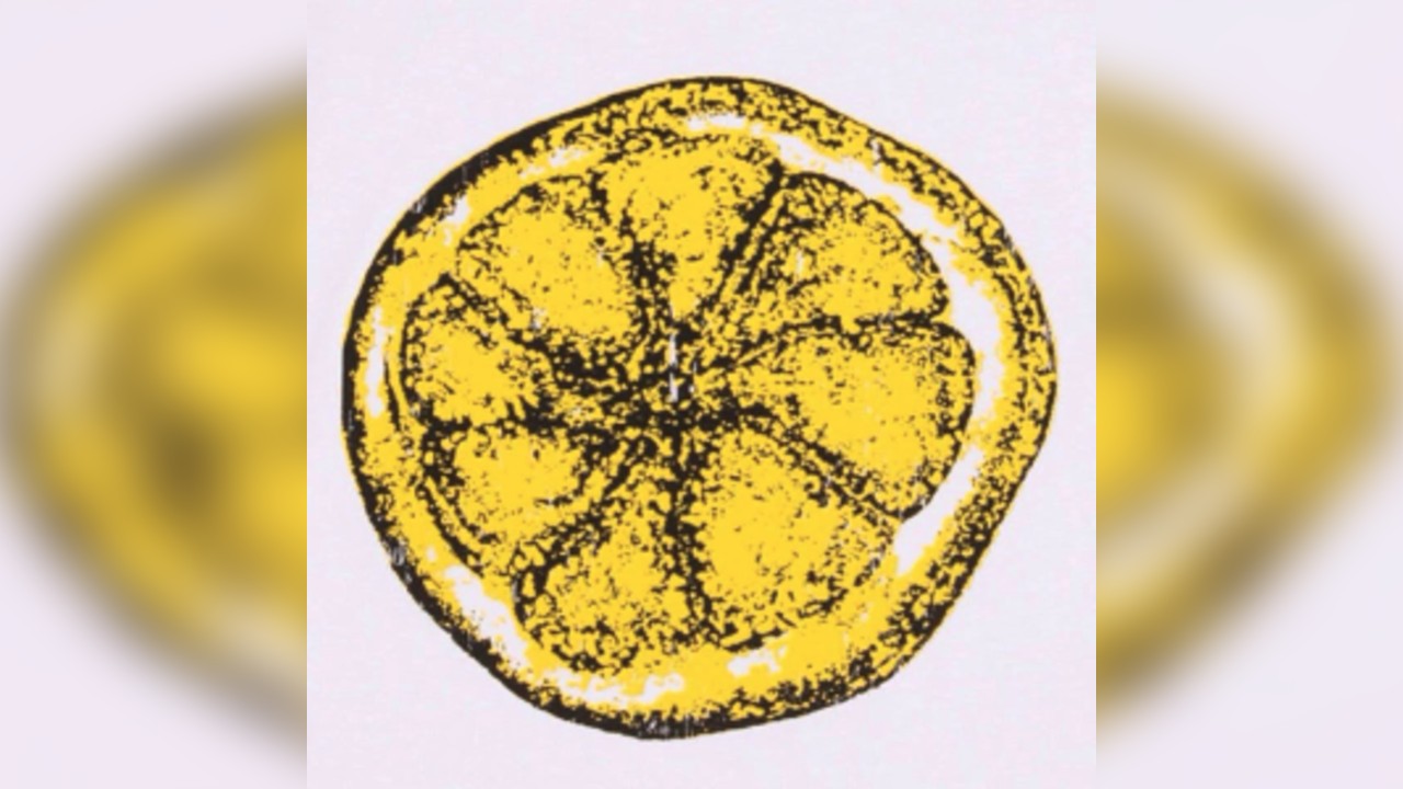 The Clone Roses & DJ Clint Boon