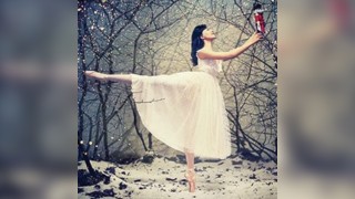 Nutcracker