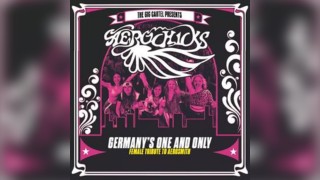 Aerochicks