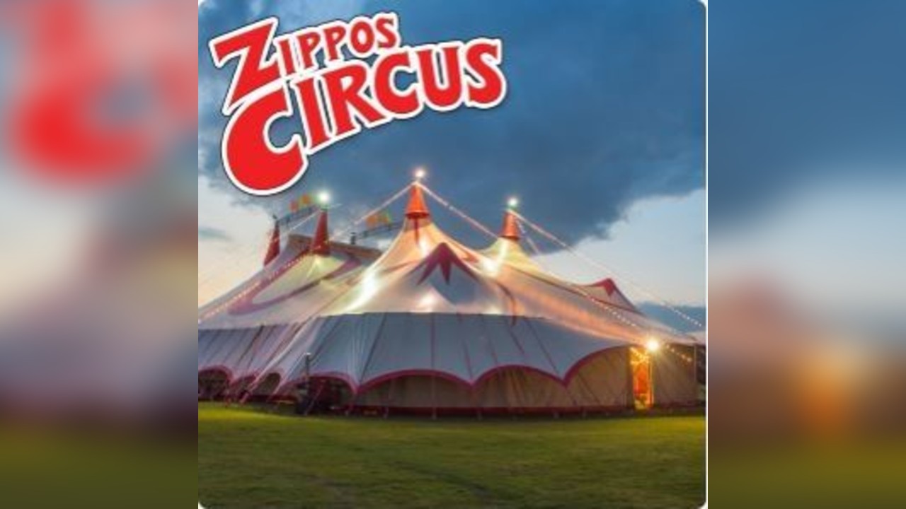 Zippos Circus - First Day Preview