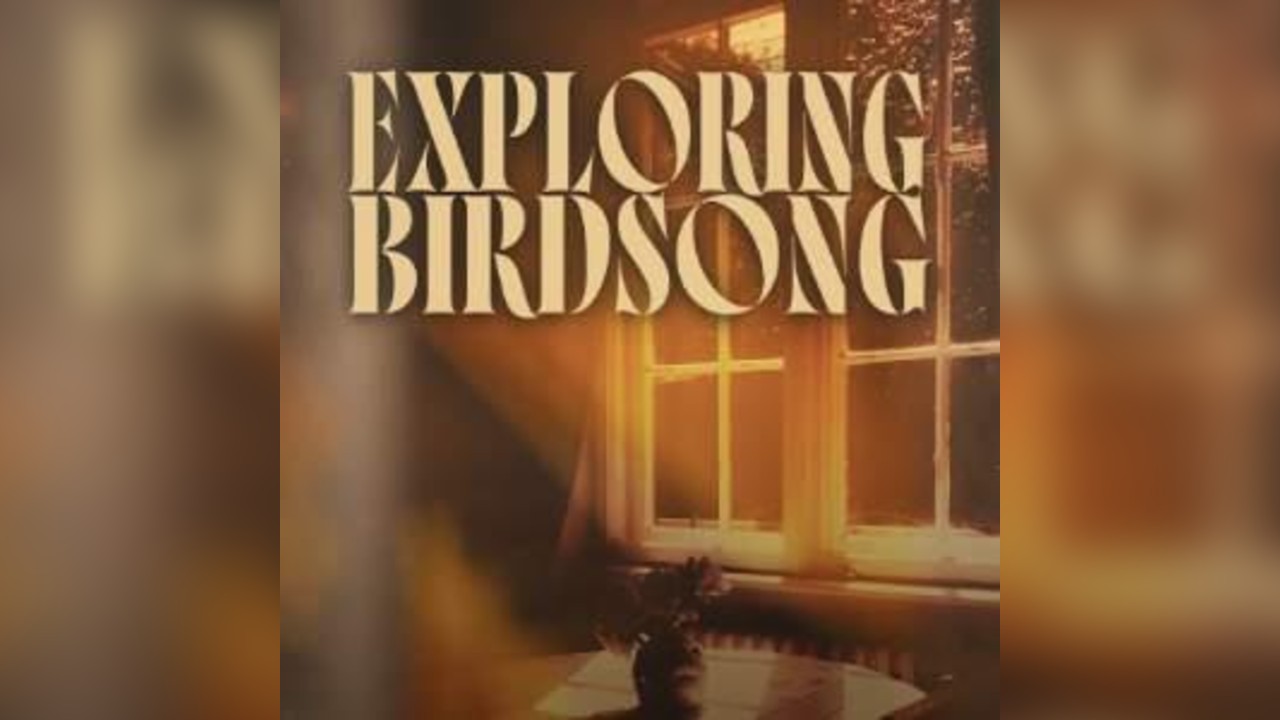 Exploring Birdsong